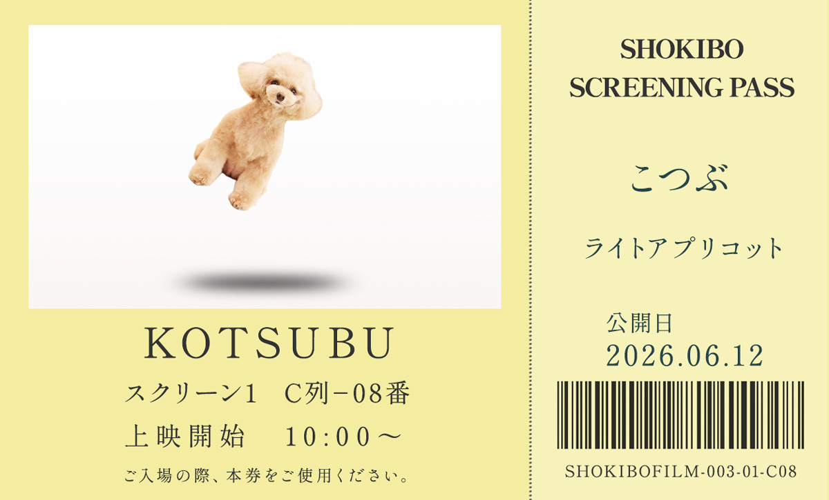 小規模フィルム作品003「KOTUSBU」の映画チケット。こつぶ　ライトプリコット