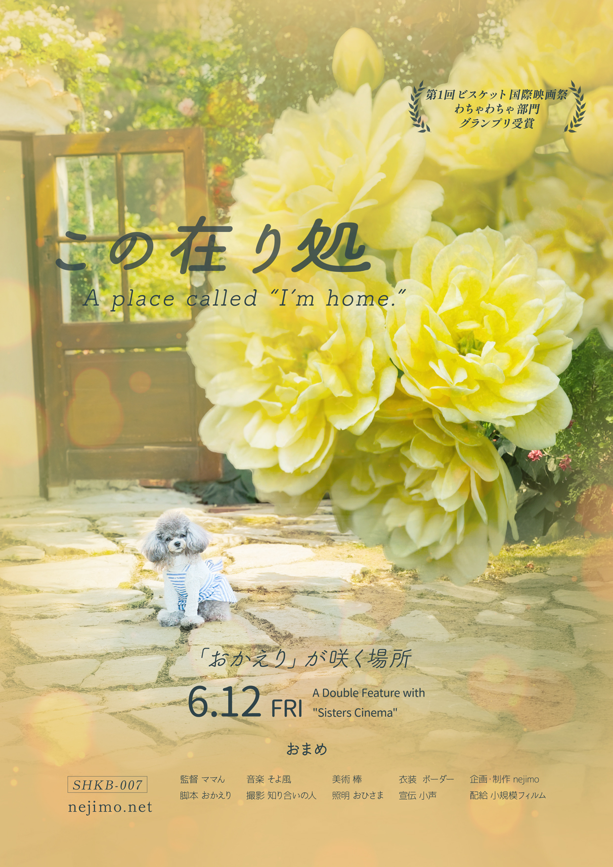 小規模フィルム作品007 この在り処 ポスター。黄色いバラの花が咲く庭で、開いた木の扉の前の石畳に座る、青いボーダー服のグレーのトイプードル