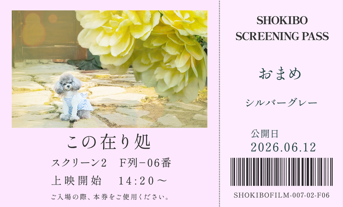小規模フィルム作品007「この在り処」の映画チケット。おまめ　シルバーグレー