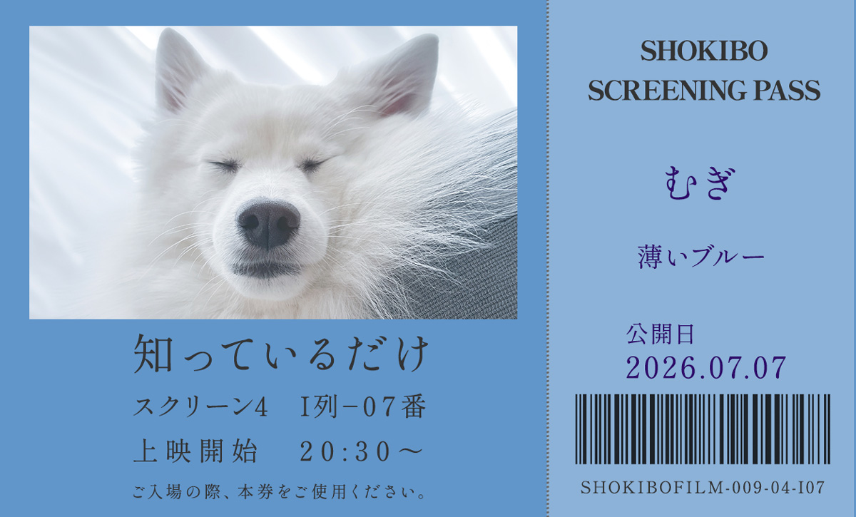 小規模フィルム作品009「知っているだけ」の映画チケット。白い犬・むぎ　テーマカラーは薄いブルー