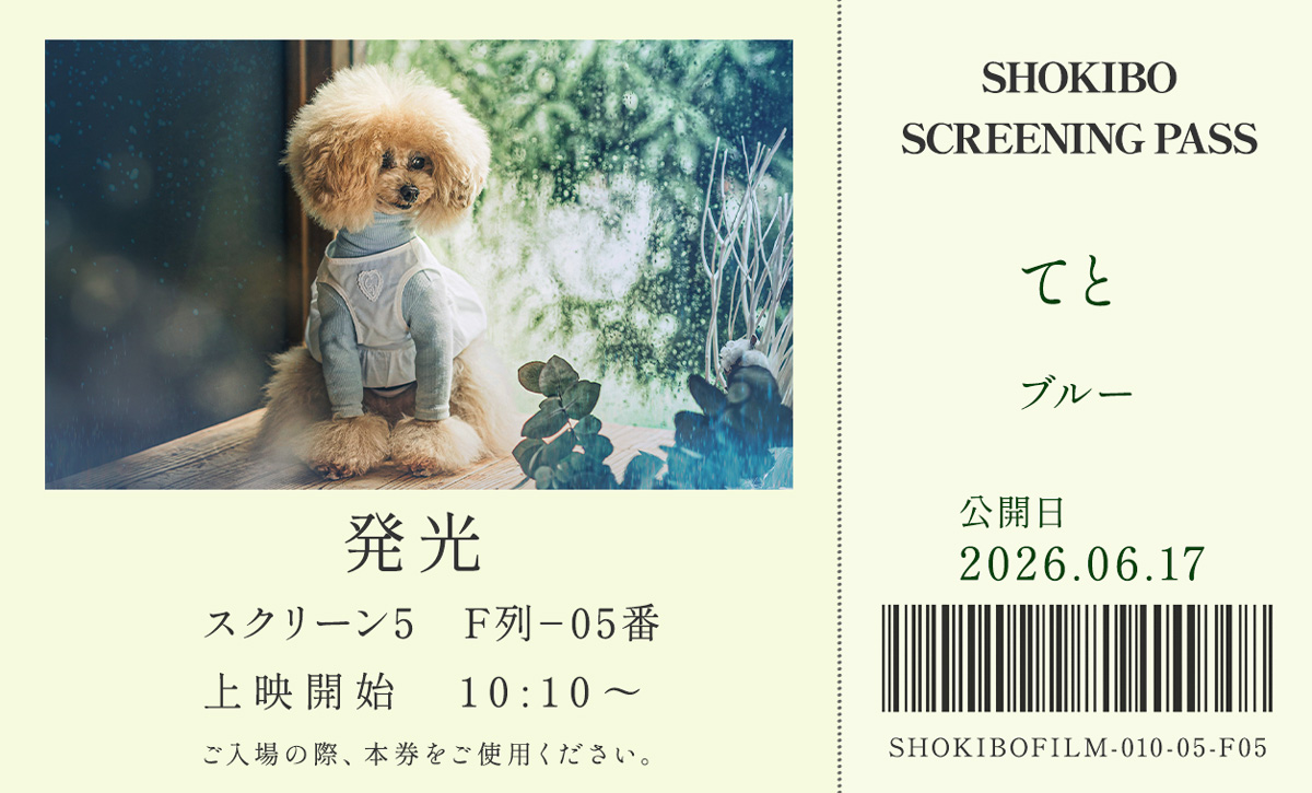 小規模フィルム作品010「発光」の映画チケット。窓辺に座るトイプードル・てとをデザインした一枚。テーマカラーはブルー。