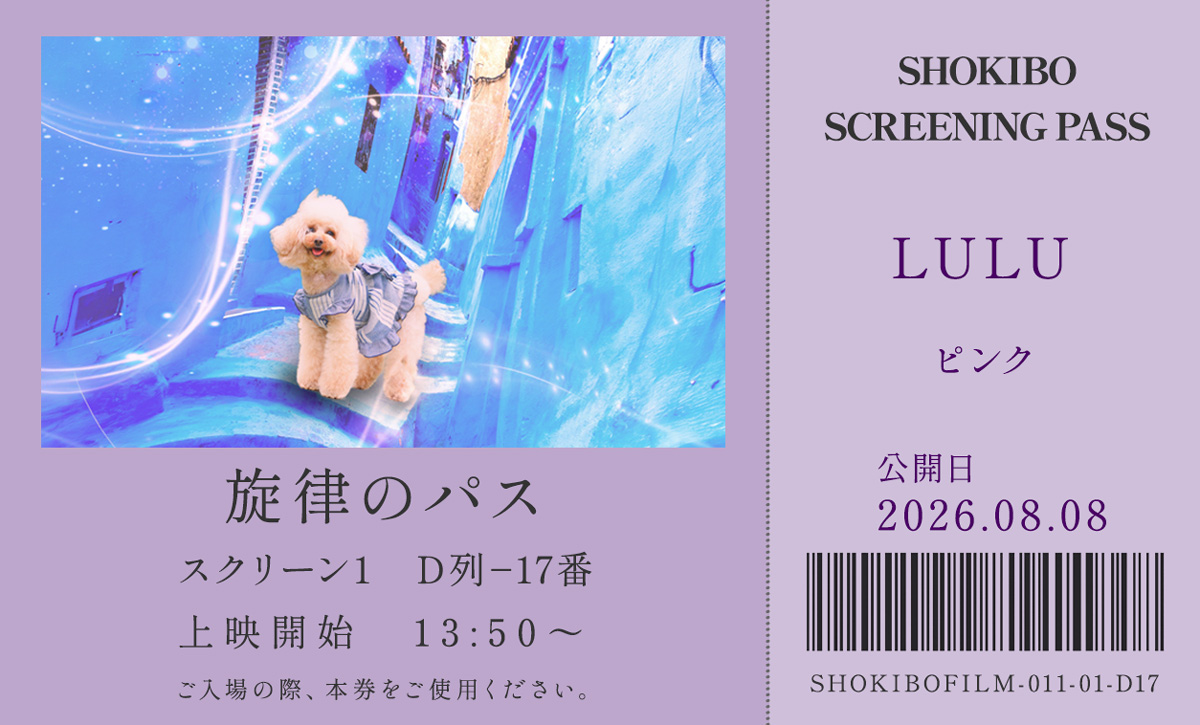 小規模フィルム作品011「旋律のパス」の映画チケット。青い街並みに立つトイプードル・LULUをデザインした一枚。テーマカラーはピンク。