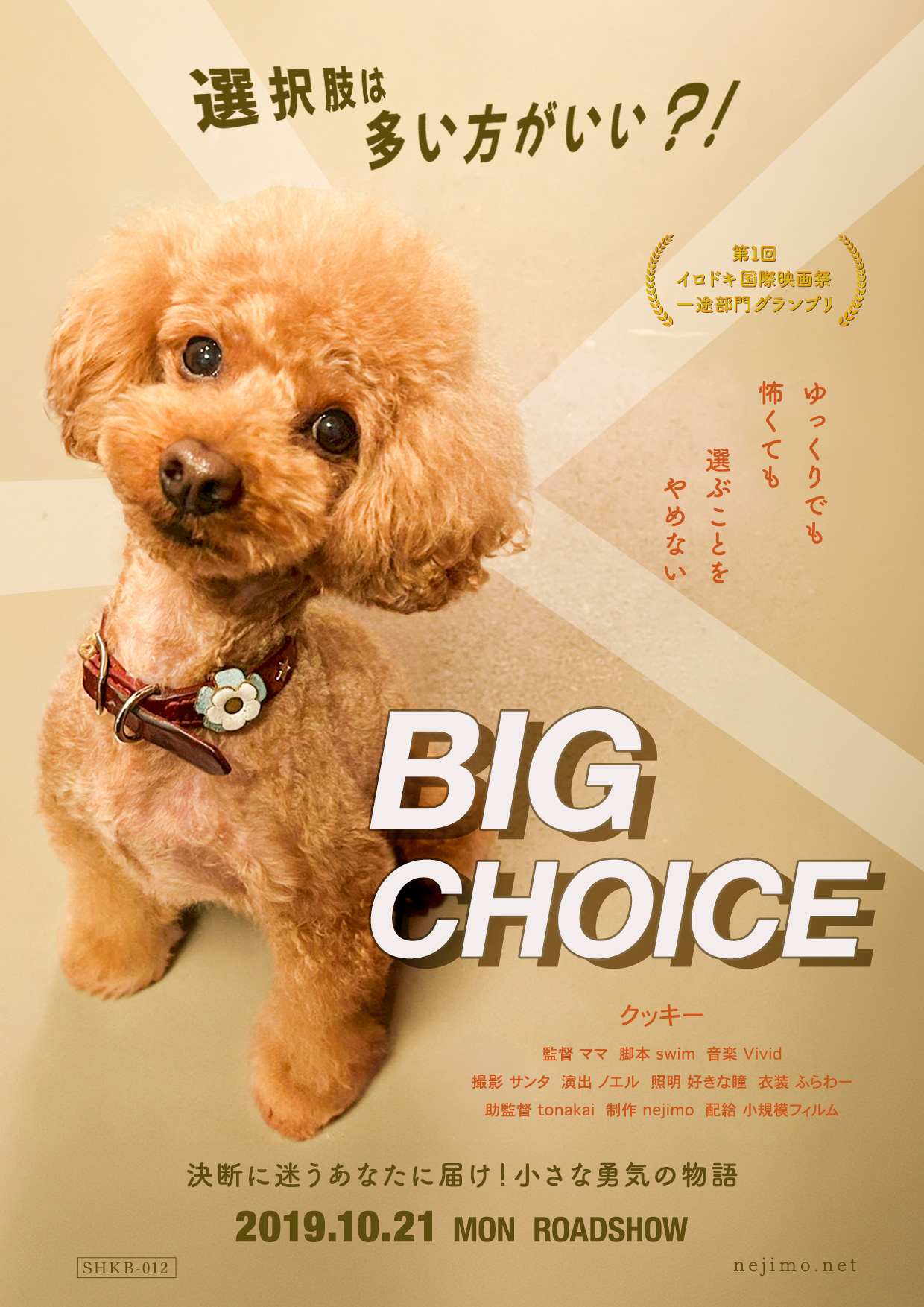 BIG CHOICE