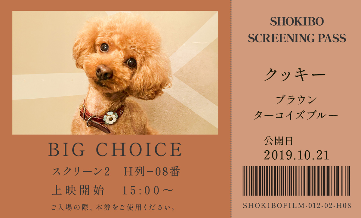 小規模フィルム作品012「BIG CHOICE」の映画チケット。 ブラウンの犬・クッキーの写真を使用したデザイン。テーマカラーはブラウンとターコイズブルー。