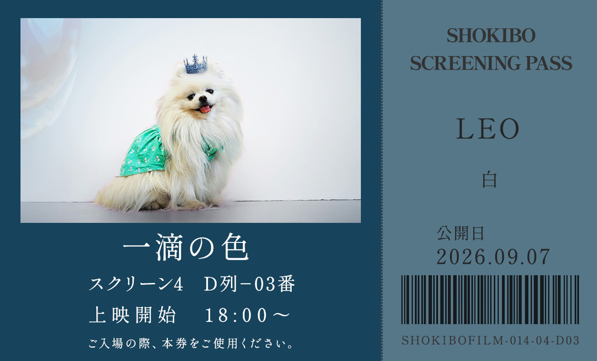 小規模フィルム作品014「一滴の色」の映画チケット。白いポメラニアン・LEOをデザインした一枚。テーマカラーは白。