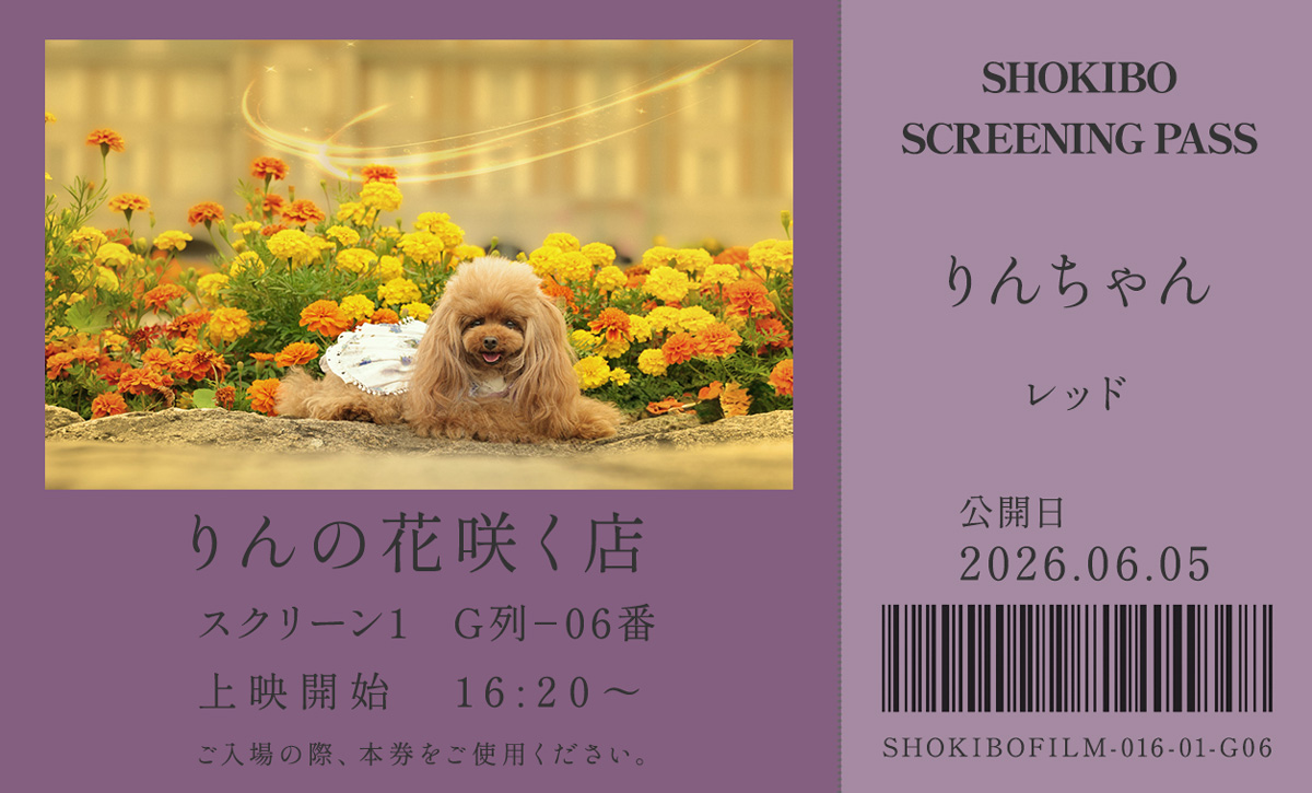 小規模フィルム作品016「りんの花咲く店」の映画チケット。花々に囲まれて笑顔を見せるトイプードル・りんちゃんをデザインした一枚。テーマカラーはレッド。