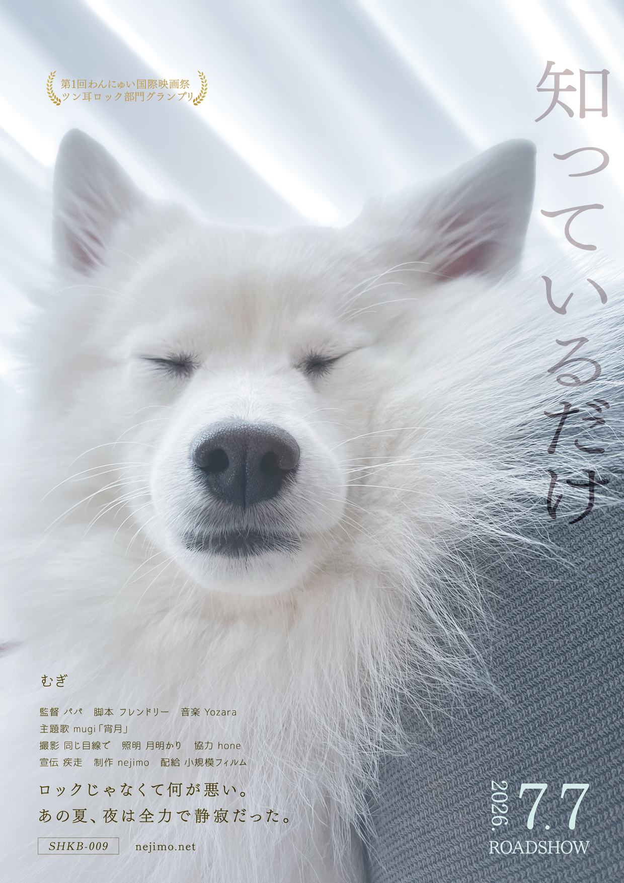 知っているだけ