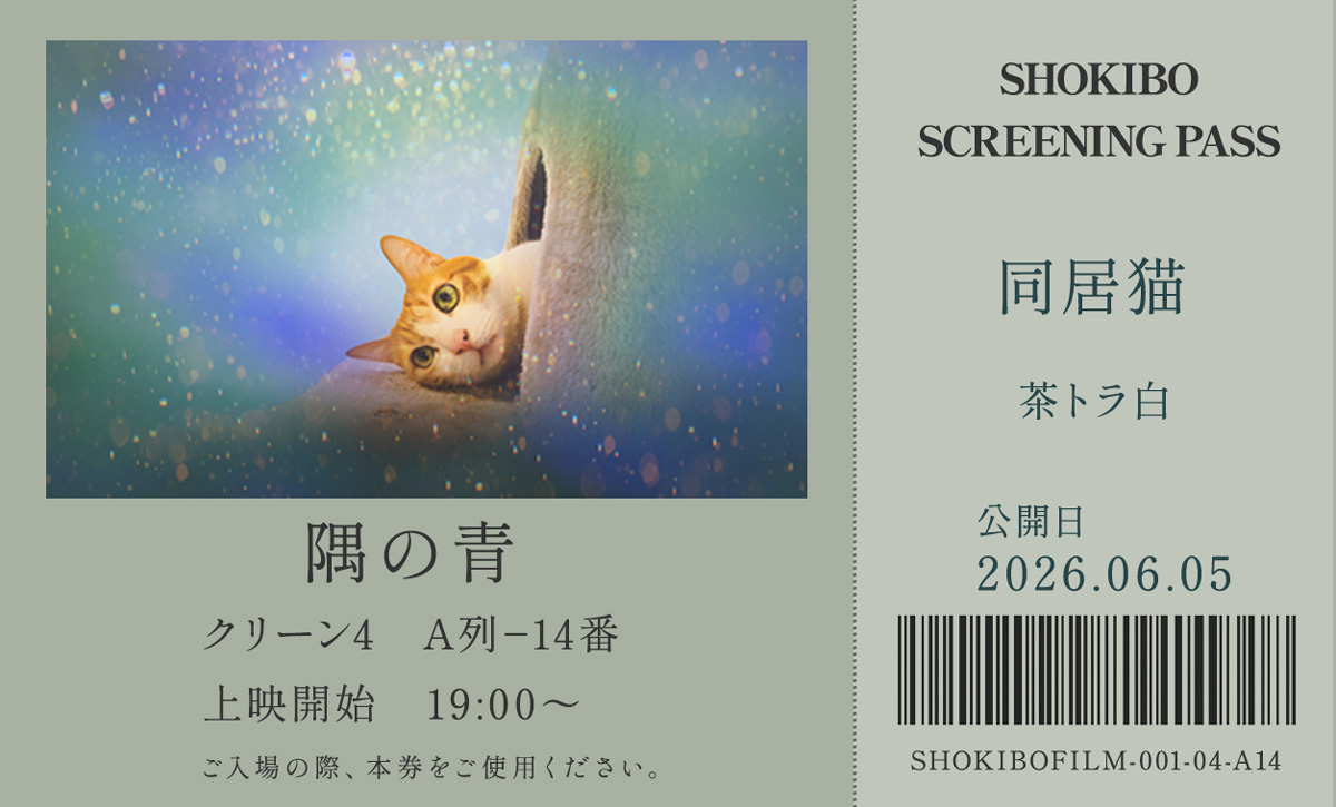 小規模フィルム作品001「隅の青」の映画チケット。同居猫　茶トラ白