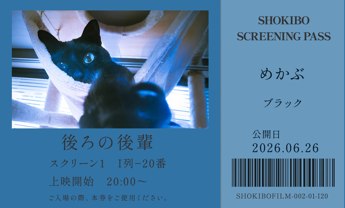 小規模フィルム作品002「後ろの後輩」の映画チケット。めかぶ　ブラック
