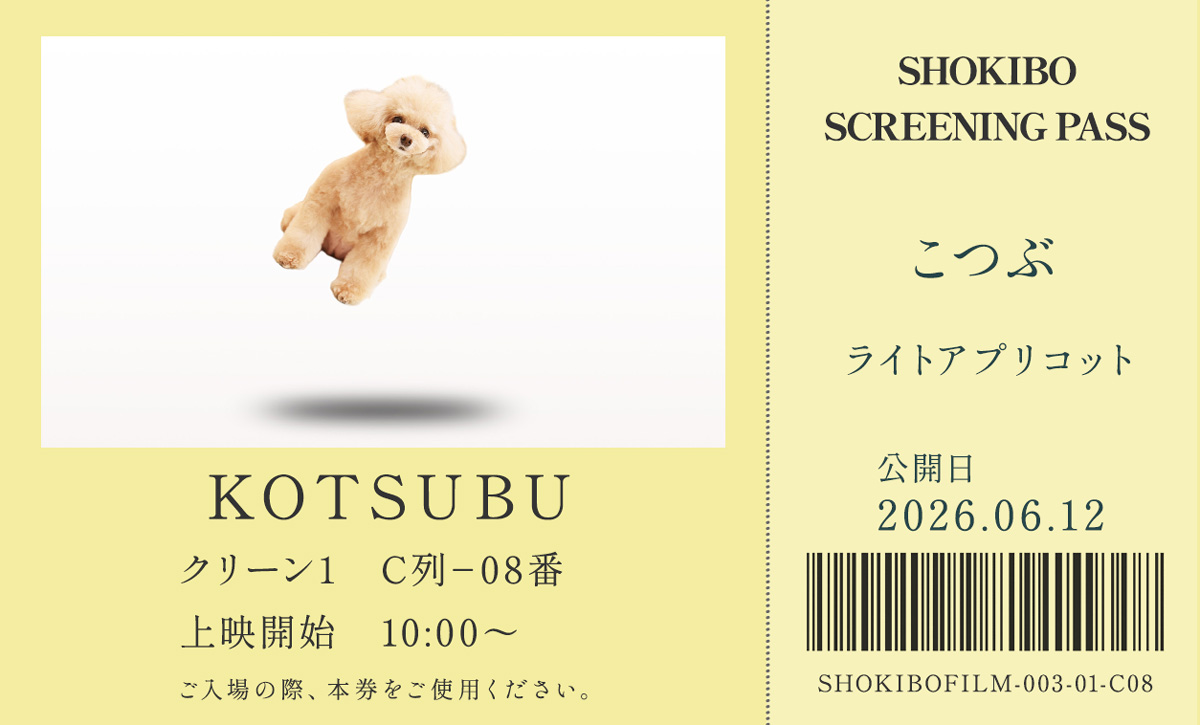 小規模フィルム作品003「KOTUSBU」の映画チケット。こつぶ　ライトプリコット