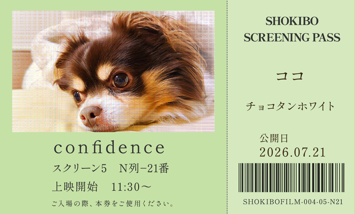 小規模フィルム作品004「confidence」の映画チケット。ココ　チョコタンホワイト