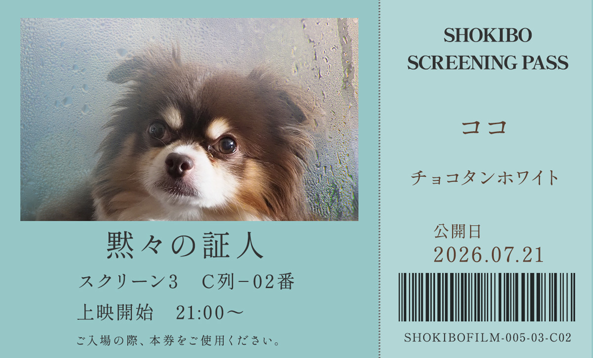 小規模フィルム作品005「黙々の証人」の映画チケット。ココ　チョコタンホワイト