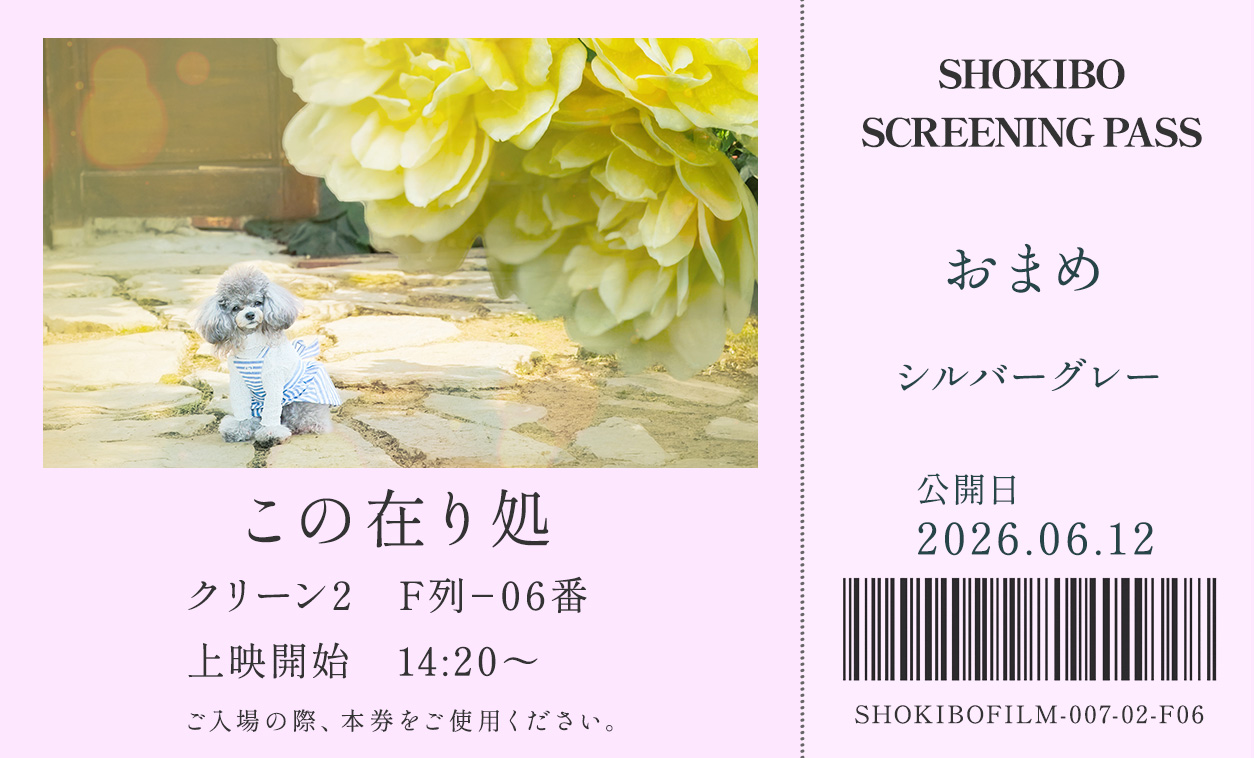 小規模フィルム作品007「この在り処」の映画チケット。おまめ　シルバーグレー