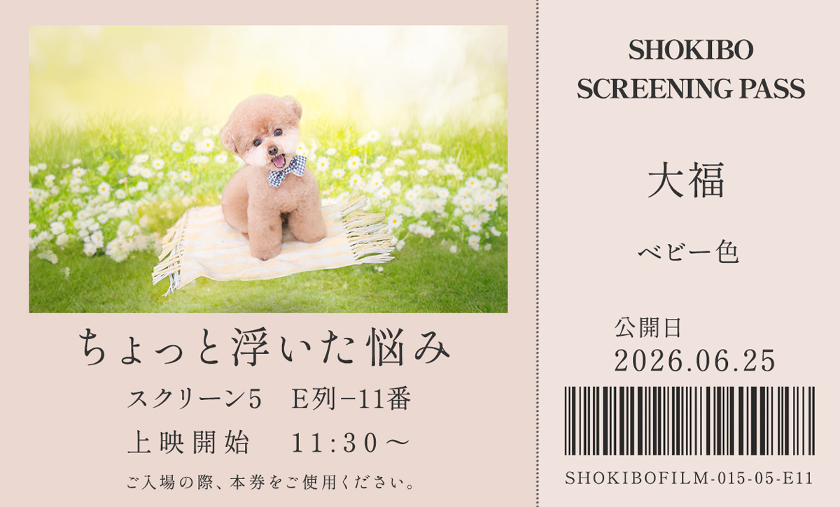 小規模フィルム作品015「ちょっと浮いた悩み」の映画チケット。ブランケットに乗ってふわりと宙に浮かぶプードル・大福をデザインした一枚。テーマカラーはベビー色。