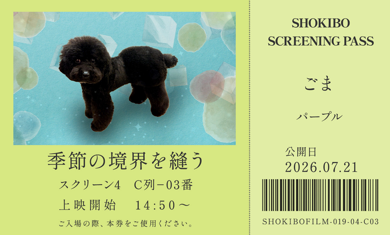 季節の境界を縫う
