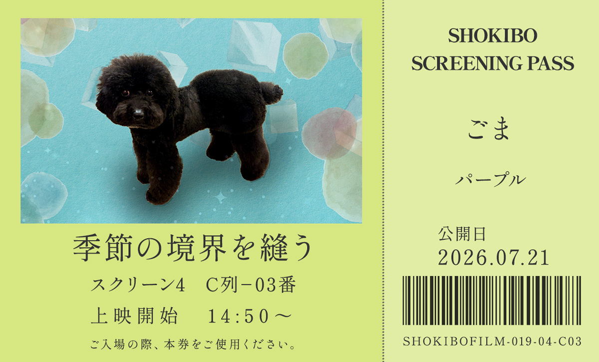 小規模フィルム作品019「季節の境界を縫う」の映画チケット。穏やかな表情でこちらを見つめるプードル・ごまをデザインした一枚。テーマカラーはパープル。