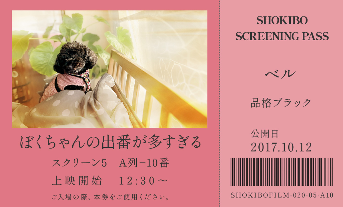 小規模フィルム作品020「ぼくちゃんの出番が多すぎる」のローズピンク色した映画チケット。ベッドの横で穏やかな表情で後ろを振り返るプードル・ベルをデザインした一枚。テーマカラーは品格ブラック。