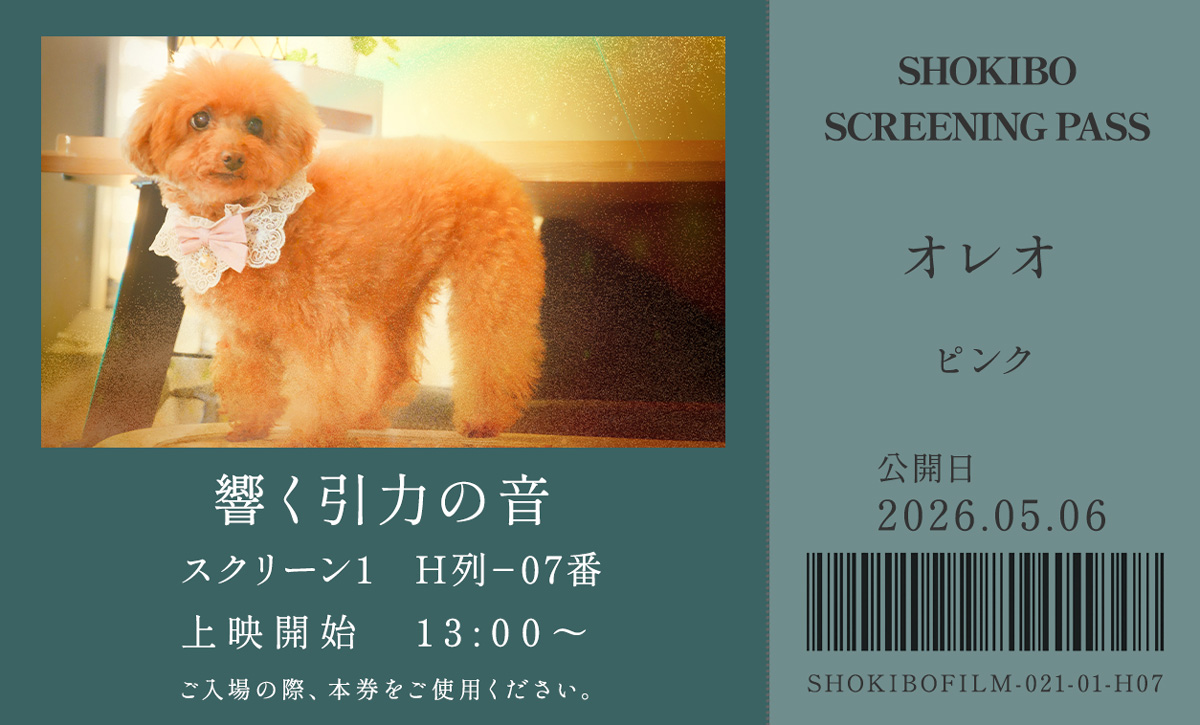 小規模フィルム作品021「響く引力の音」の映画チケット。遠くの空を見つめる、レースとパールの首元飾りをつけたプードル・オレオをデザインした一枚。テーマカラーはピンク。