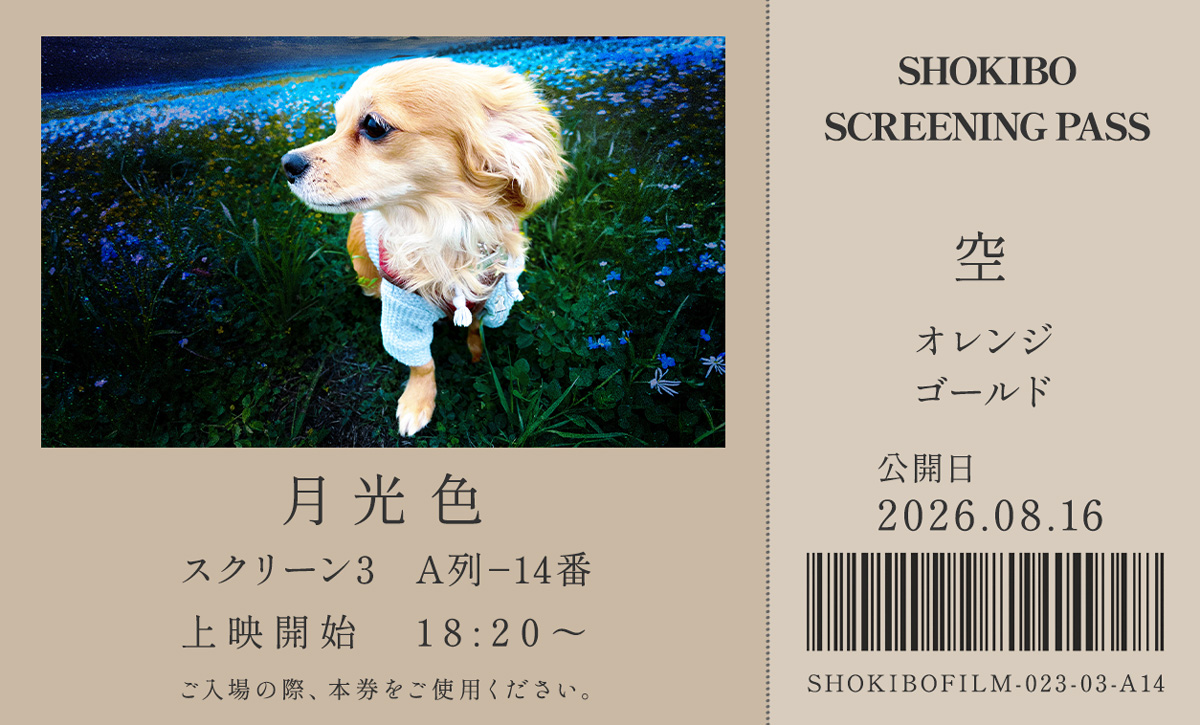 小規模フィルム作品023「月光色」の映画チケット。夜の花畑で静かにたたずむチワックス・空をデザインした一枚。テーマカラーはオレンジとゴールド。公開日は2026年8月16日。