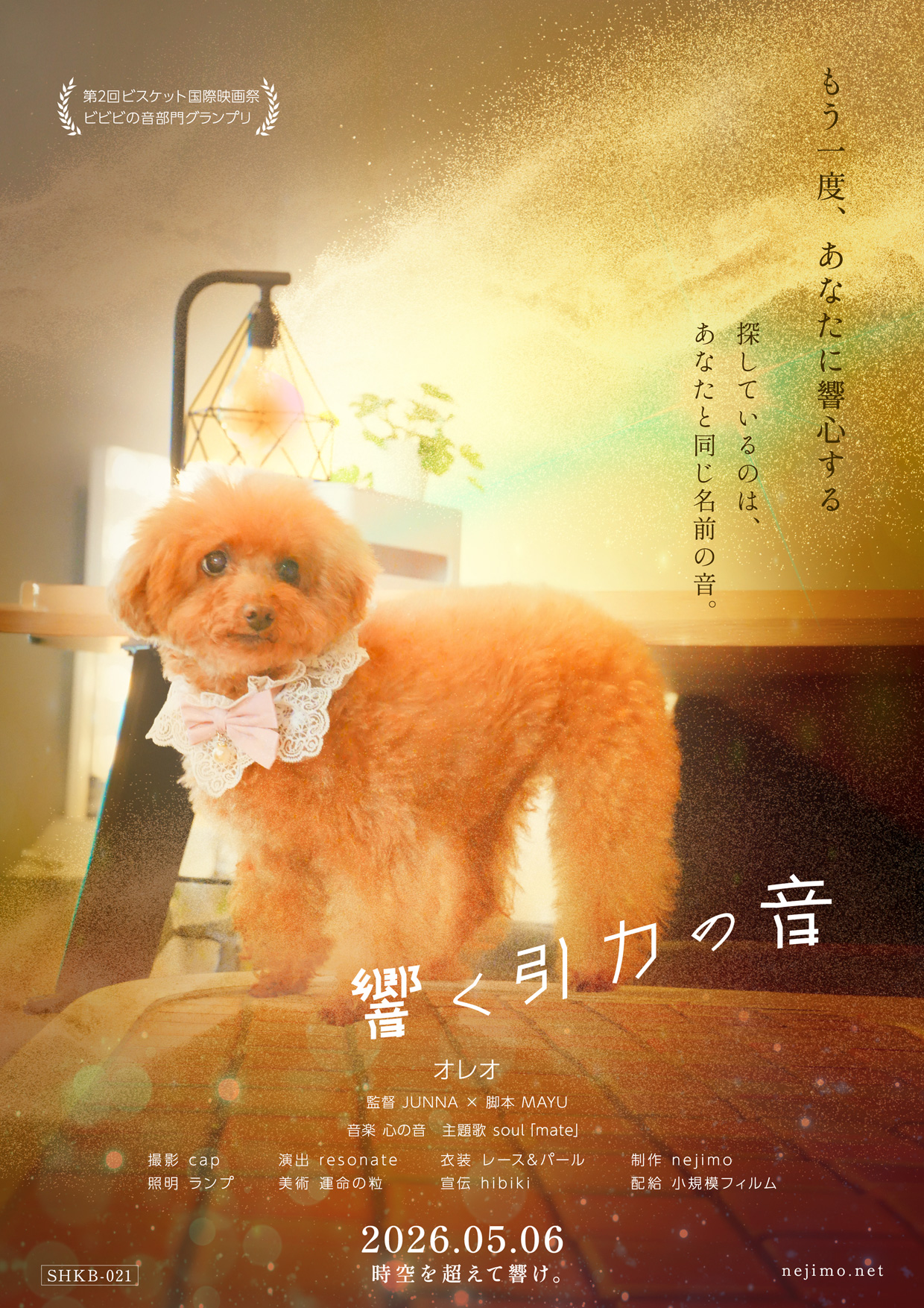 小規模フィルム作品021「響く引力の音」の映画風ポスター。遠くの空を見つめる、レースとパールの首元飾りをつけたプードル・オレオを写した一枚。大きく配置されたタイトル「響く引力の音」と、コピー「もう一度、あなたに響心する 探しているのは、あなたと同じ名前の音。」が、金色の光と星屑のような輝きに包まれて、時空を超えて響き合う運命の物語を感じさせる。第2回ビスケット国際映画祭ビビビの音部門グランプリ受賞作。