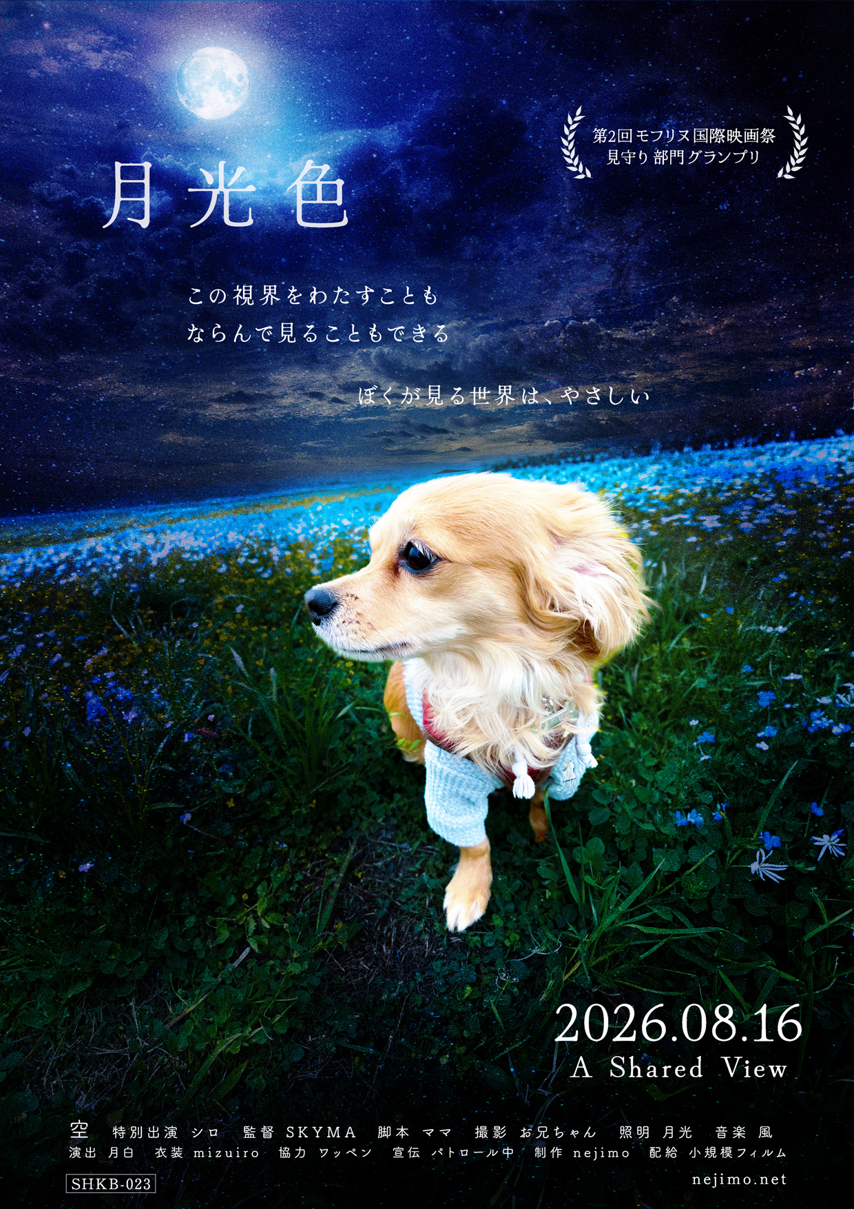 小規模フィルム作品023「月光色」の映画風ポスター。満月が照らす夜の青い花畑で、オレンジとゴールドの毛色をしたチワックス・空が静かに遠くを見つめている。コピー「この視界をわたすことも　ならんで見ることもできる　ぼくが見る世界は、やさしい」と、公開日に添えられた英語のあおり「A Shared View」が、やさしいまなざしと穏やかな時間を感じさせる。第2回モフリヌ国際映画祭 見守り部門グランプリ受賞作。
