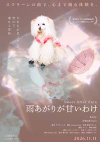小規模フィルム作品022「雨あがりが甘いわけ」のポスター。足元の水たまりに映るプードル・Kelly。