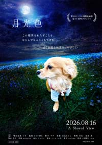 小規模フィルム作品023「月光色」のポスター。月夜の花畑に立つチワックス・空。